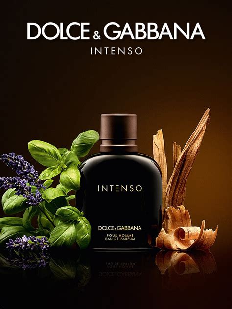 intenso de dolce gabbana|intenso Dolce & Gabbana 100 ml.